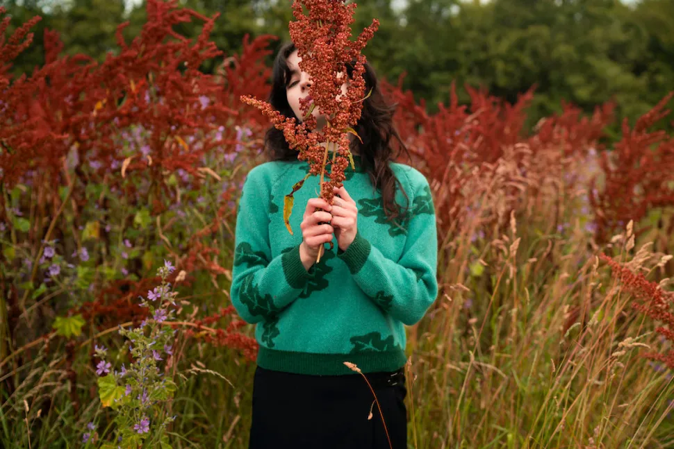 Fauna Jumper - Shamrock