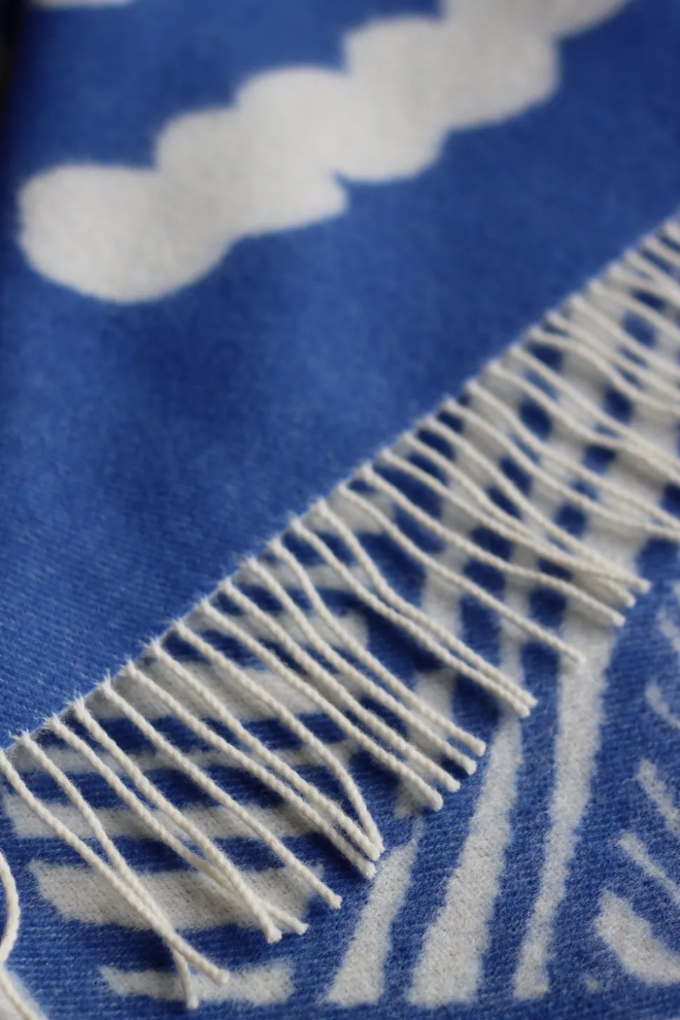 Forager Throw - Blue & White