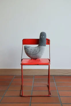 Paddy Pigeon