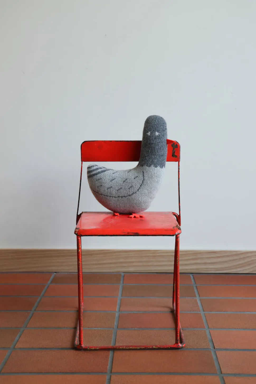Paddy Pigeon